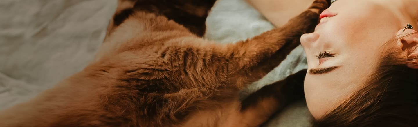 mejores servicios para tu mascota